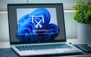 Ilustrasi screenshot di laptop (FOTO: wixsite.com)
