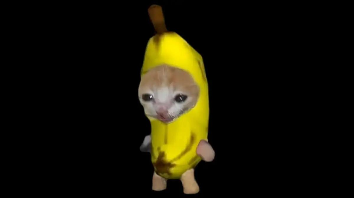 Ilustrasi stiker WA banana cat. (Sumber: Steam Comunity)