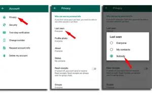 Cara membuat WhatsApp tidak terlihat online (FOTO: apptuts.net)