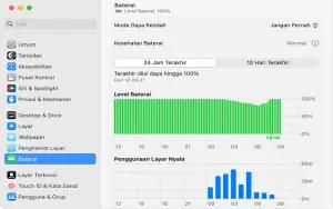 Ilustrasi tampilan cek Battery Health MacBook (FOTO: support.apple.com)