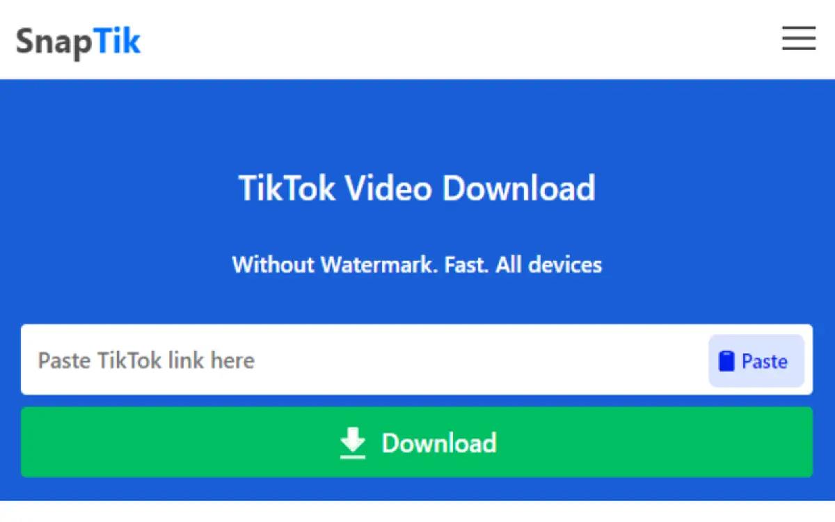Tangkapan layar situs Snaptik untuk download video TikTok tanpa watermark (FOTO: Snaptik)