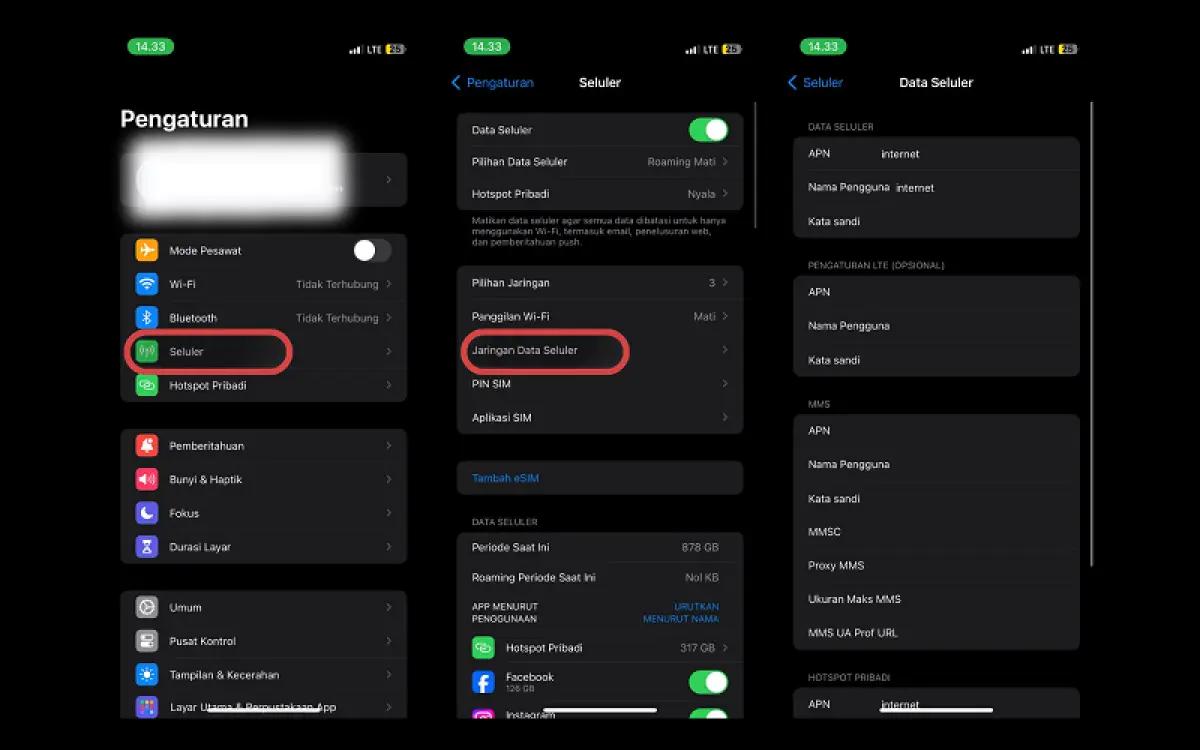 Ilustrasi setting APN di smartphone iOS (FOTO: Indogamers)