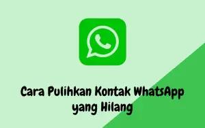 Pulihkan kontak WhatsApp yang hilang (FOTO: Indogamers)