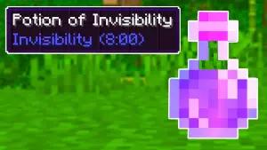 Potion of Invisibility. (Sumber: EK Gaming)