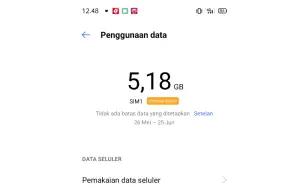 Ilustrasi penggunaan data internet di HP Android (FOTO: Indogamers)