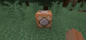 Commad Block di game Minecraft. (Sumber: Hub Pages)