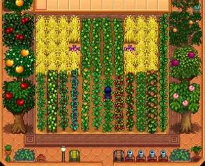 Stardew Valley (FOTO: Stardew Valley)