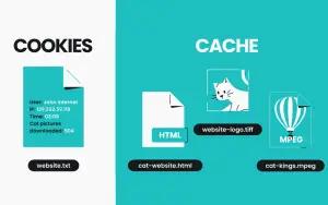 Ilustrasi perbedaan cache dan cookie (FOTO: surfshark)