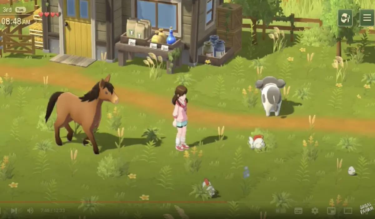 Toko Hewan dan Jenis Hewan di Harvest Moon: Home Sweet Home (FOTO: YouTube/Gagal Paham)