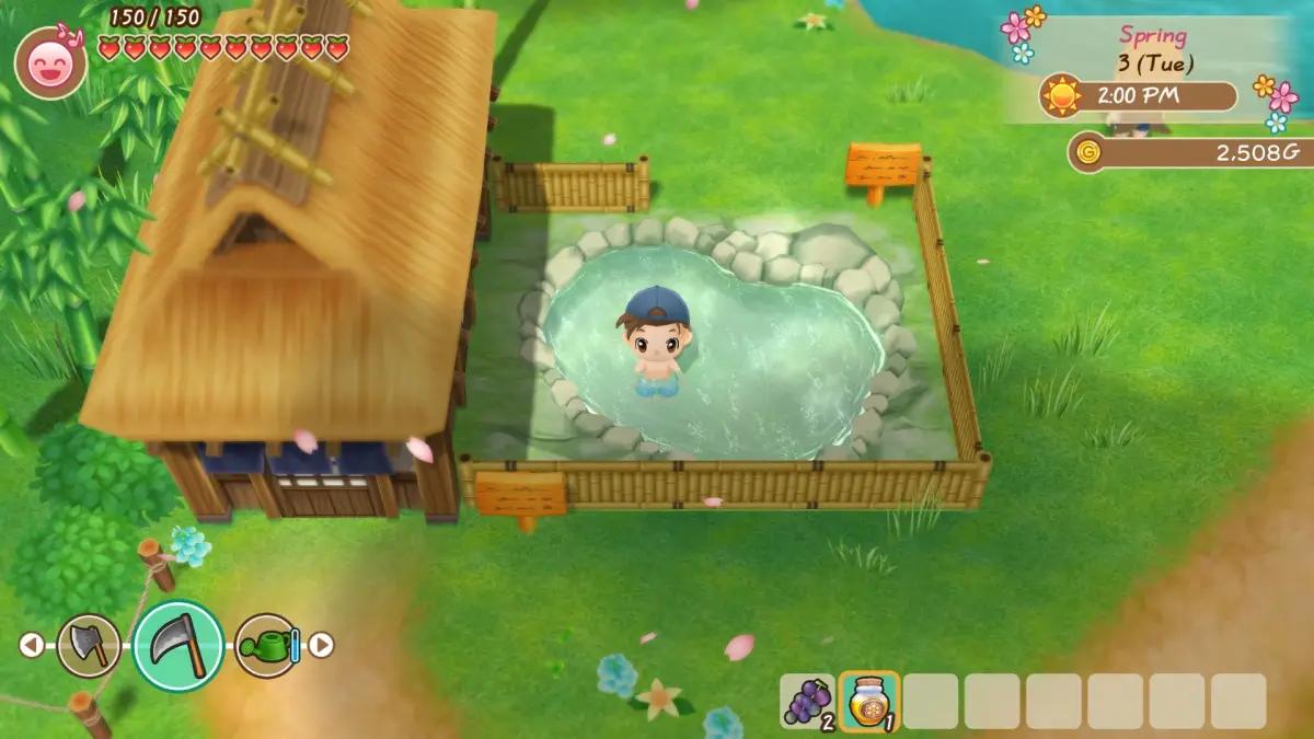 Game Story of Seasons: Friends of Mineral. (Sumber: Steam)