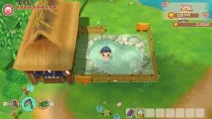 Game Story of Seasons: Friends of Mineral. (Sumber: Steam)