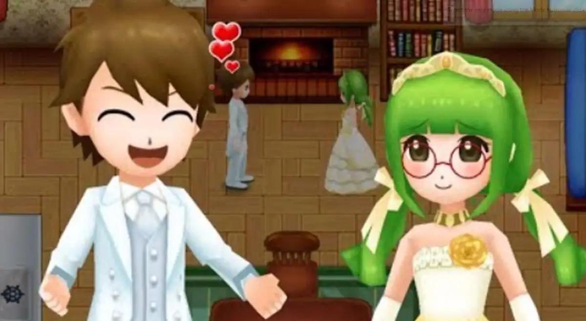 Harvest Moon: Light of Hope. (Sumber: Steam)