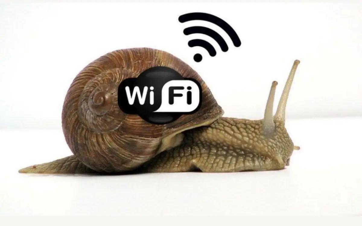 WiFi rumah terlalu lemot (FOTO: pinterest.com)