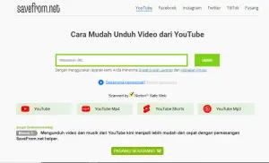 Ilustrasi Savefrom.net, situs gratis untuk download video YouTube (FOTO: savefrom.net)