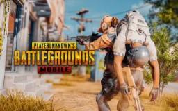 Istilah dalam Game PUBG (Foto: MEmu)