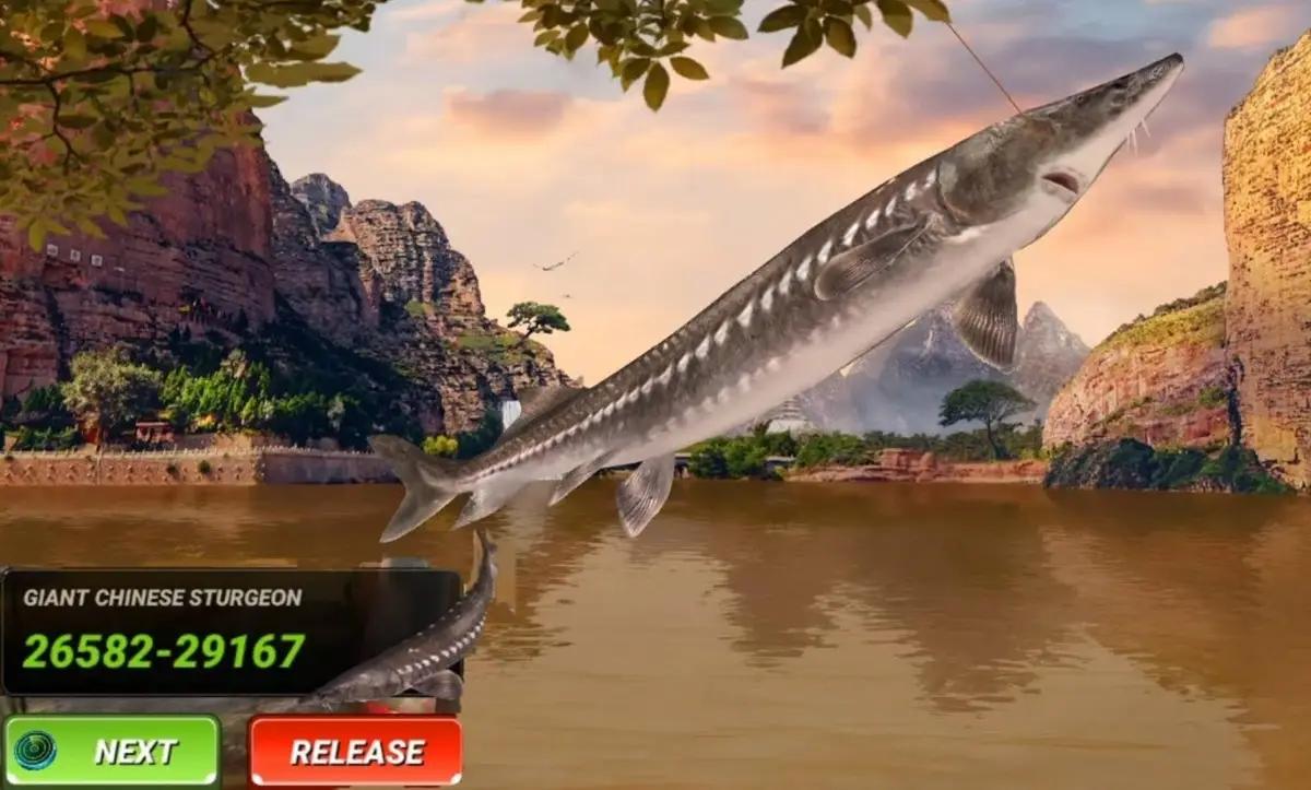 Game Simulasi Memancing Fishing Clash (Foto: YouTube/IAmStrand)