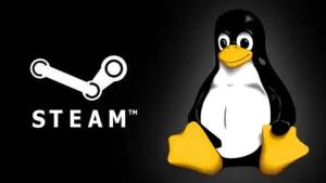 Ilustrasi Steam dan OS Linux. (Sumber: Extreme Tech)