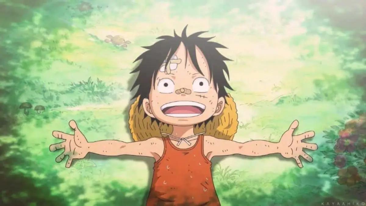 Sebagai Tokoh Sentral di One Piece, Berikut 15 Fakta Tentang Luffy yang Wajib Diketahui Kamu Ketahui! (FOTO: ranker.com)