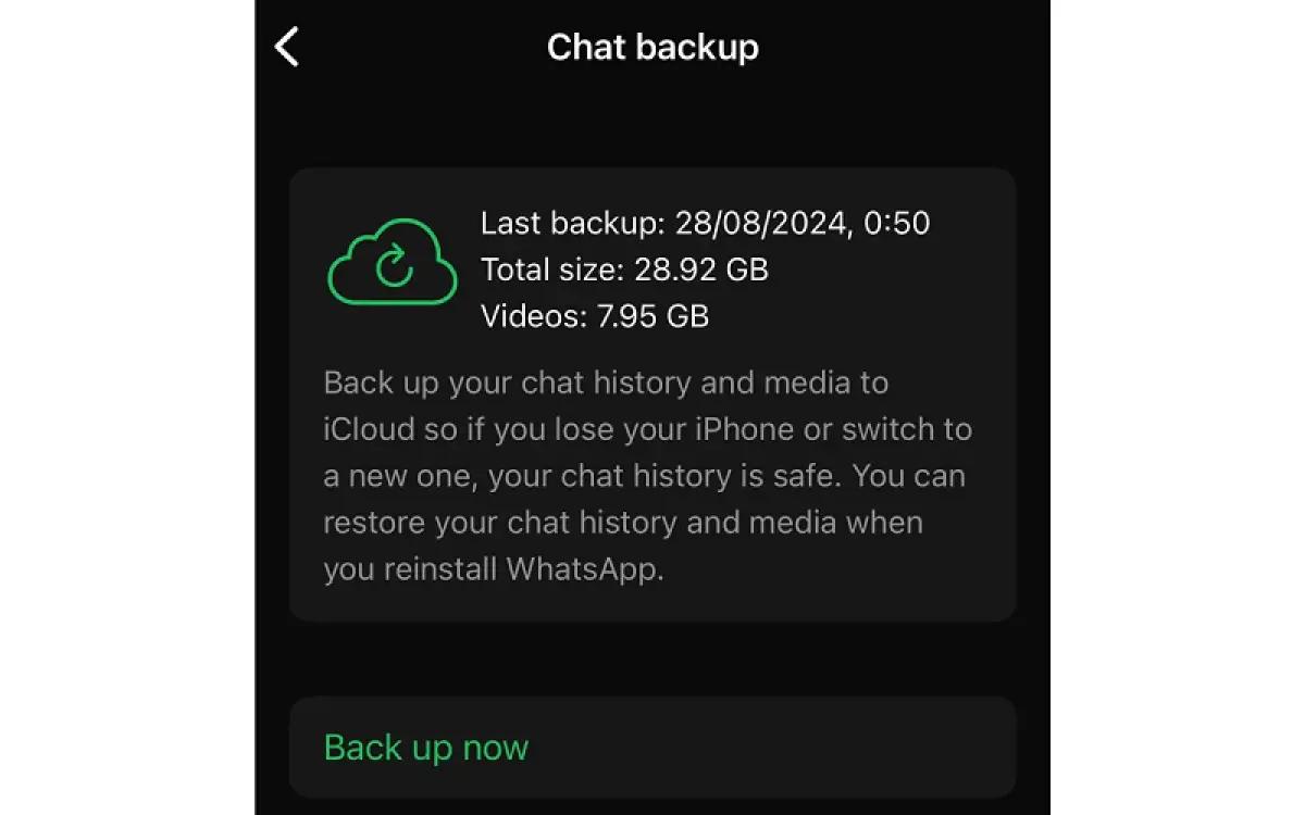 Ilustrasi backup chat WhatsApp di iPhone (FOTO: Reddit)