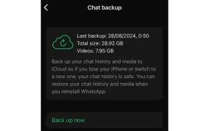 Ilustrasi backup chat WhatsApp di iPhone (FOTO: Reddit)