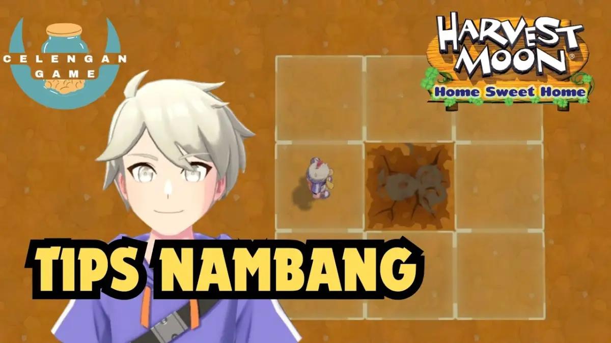 5 Tips Menambang Cepat di Harvest Moon: Home Sweet Home(FOTO: E13Y Media)