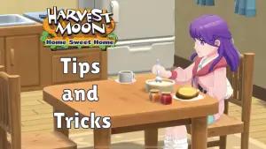 4 Tips dan Trik Pemula untuk Main Harvest Moon: Home Sweet Home (FOTO: EliTheGaymer)
