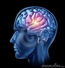 Video Games Dapat Memperbesar Volume Otak Manusia