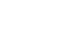logo rodaindo