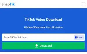 Tangkapan layar situs Snaptik untuk download video TikTok tanpa watermark (FOTO: Snaptik)