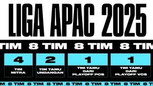Playoff Liga APAC