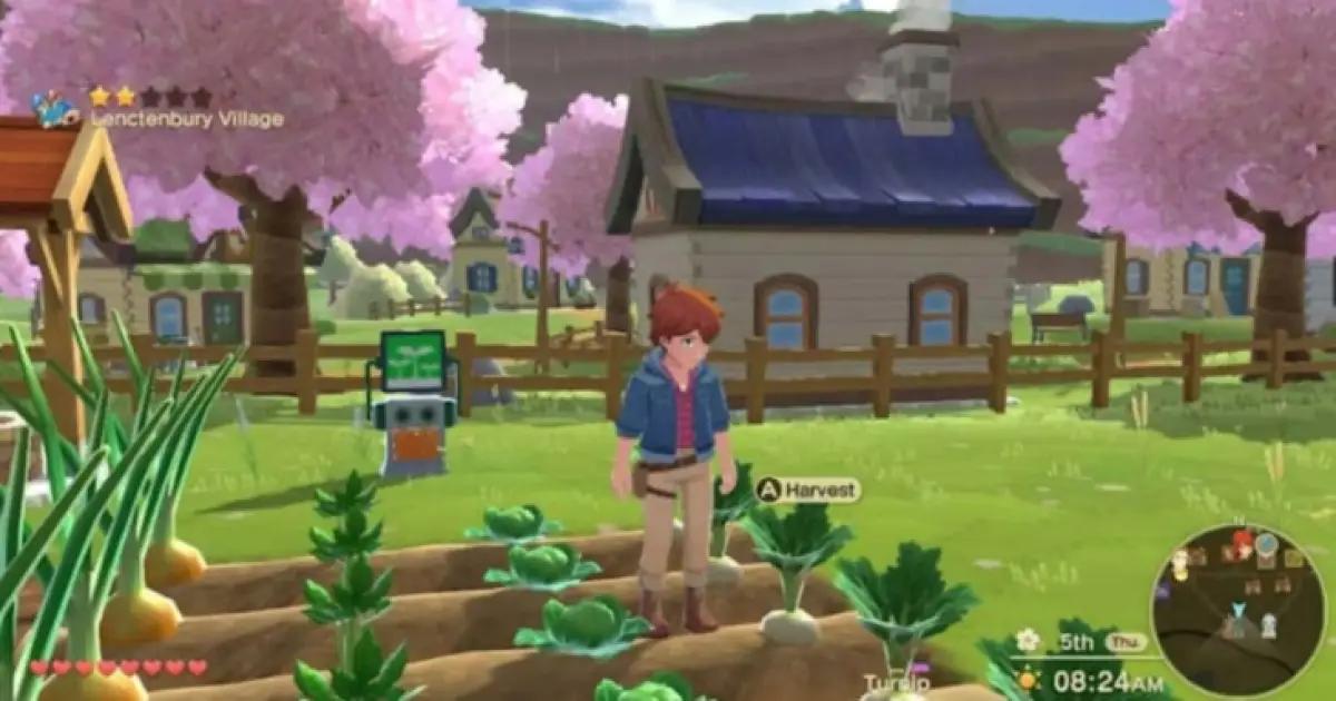 Game Harvest Moon: Home Sweet Home. (Sumber: Natsume)