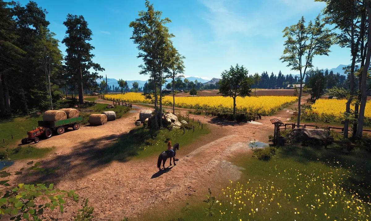 Windstorm: Start of a Great Friendship-Remastered (Foto: Steam)