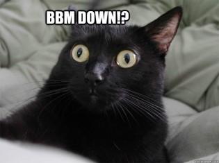 Lolos Dari Sanksi Pemerintah, BBM Malah Kembali Down